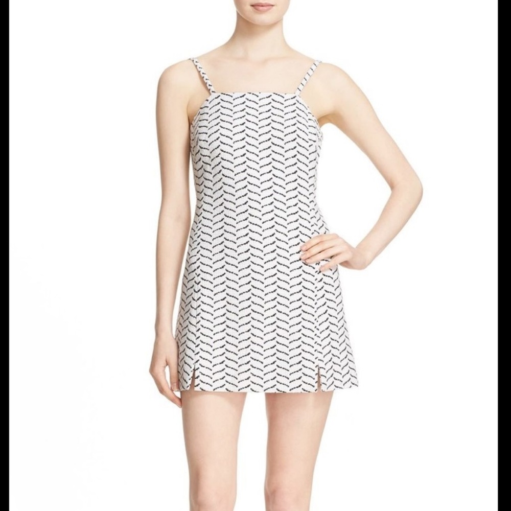 AYR “The Chick” Mini Dress